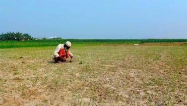 যমুনায় জেগে ওঠা চরে স্বপ্নের লড়াই